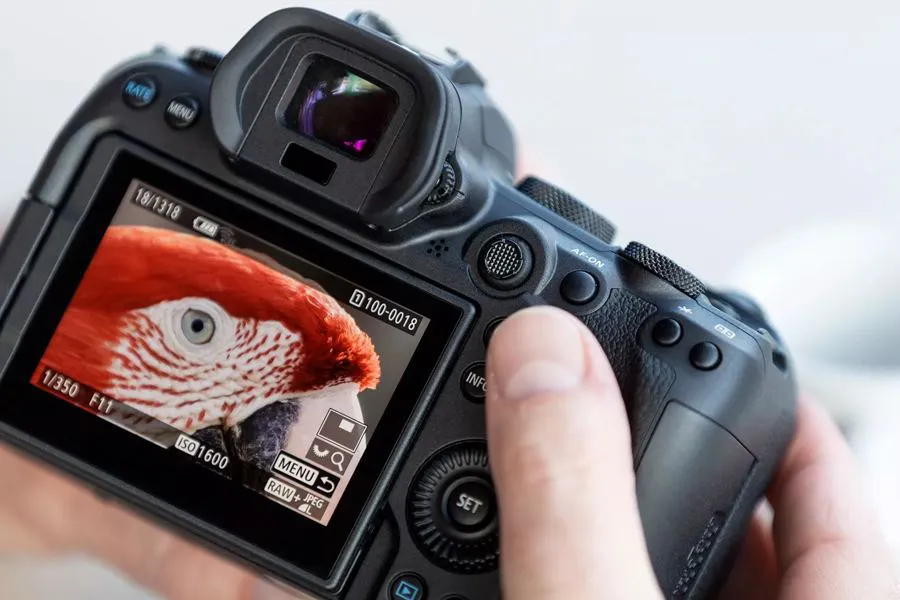 Canon EOS R6 + 24-105 mm f/4-7.1 IS STM