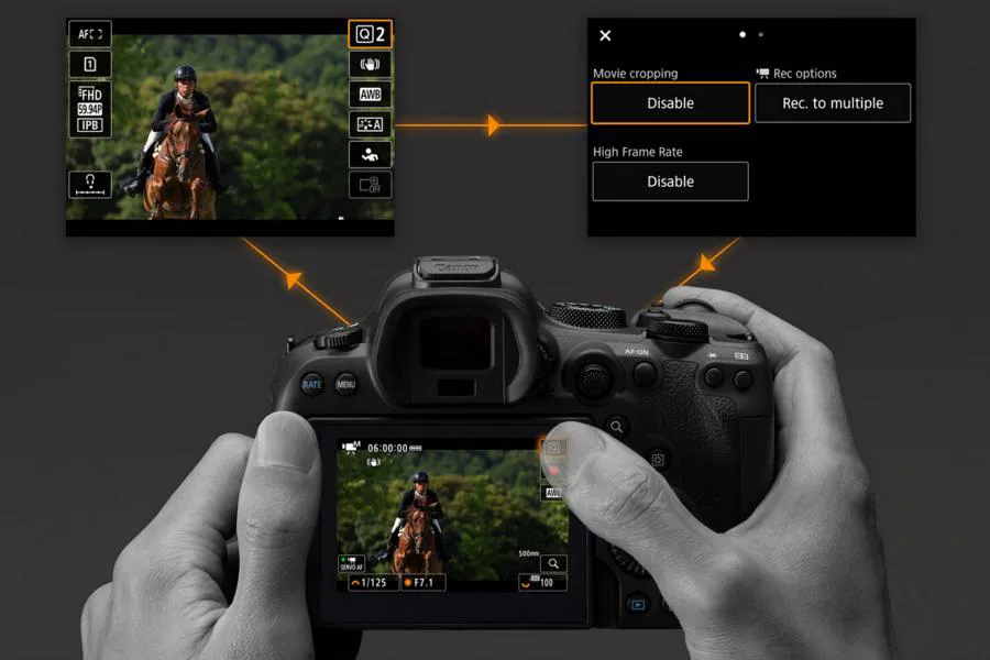 Canon EOS R6 Mark II + RF 24-105 mm f/4L IS USM