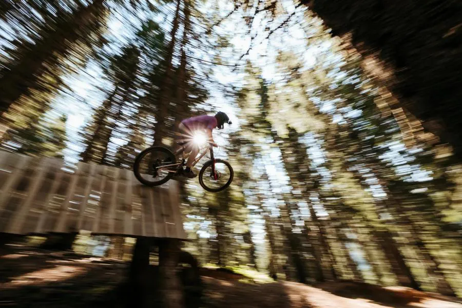 Canon EOS R6 Mark II + RF 24-105 mm f/4L IS USM