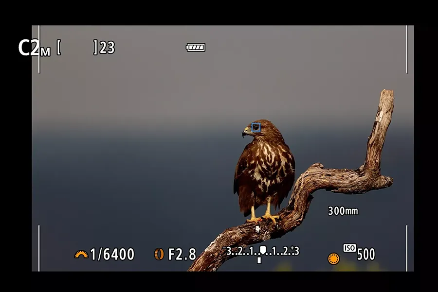 Canon EOS R7 + RF-S 18-150 mm f/3.5-6.3 IS STM