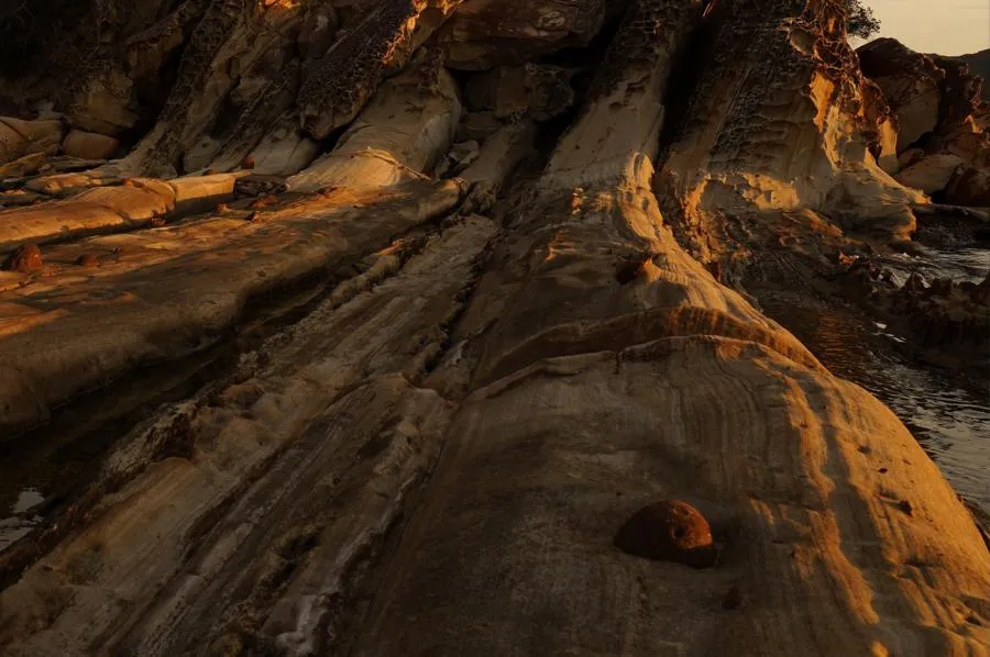 Sony FE 24-70 mm f/2.8 GM II