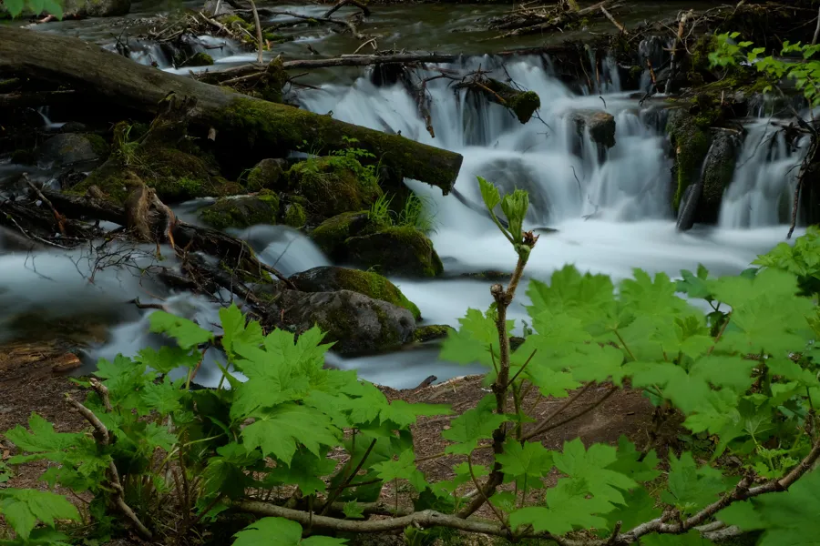 Obiektyw FujiFilm Fujinon XF 18-135 mm f/3.5-5.6 R LM OIS WR