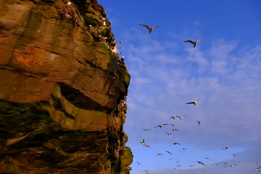 Obiektyw FujiFilm Fujinon XF 18-135 mm f/3.5-5.6 R LM OIS WR