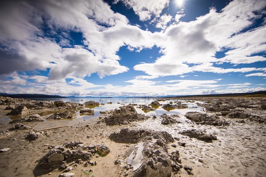 Obiektyw Samyang MF 14 mm f/2.8 / Canon RF