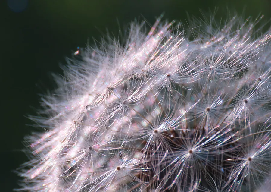 Pierścienie pośrednie Viltrox DG-EOS R / Canon RF
