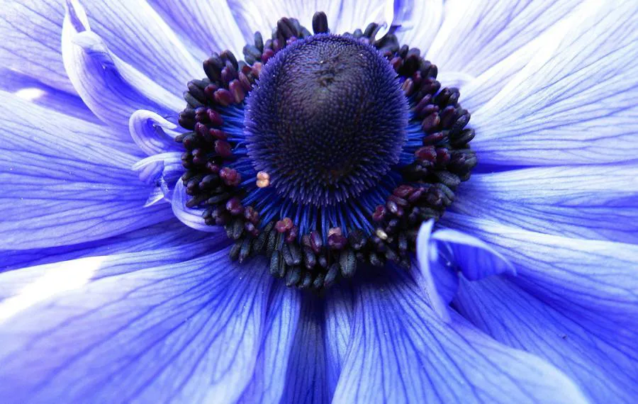 Pierścień pośredni Viltrox DG-GFX Extension Tube 45 mm