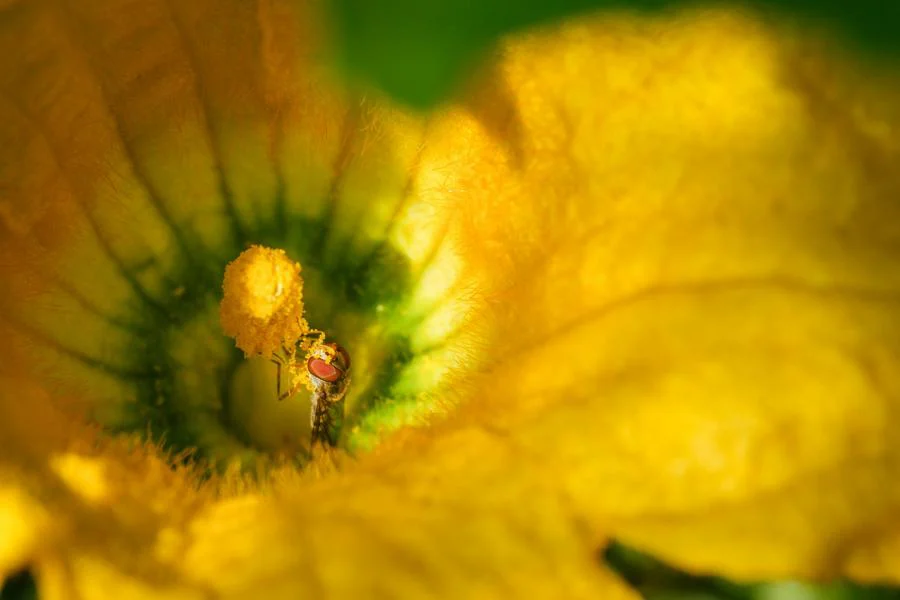 FujiFilm X-H2 + XF 16-80 mm f/4 R OIS WR