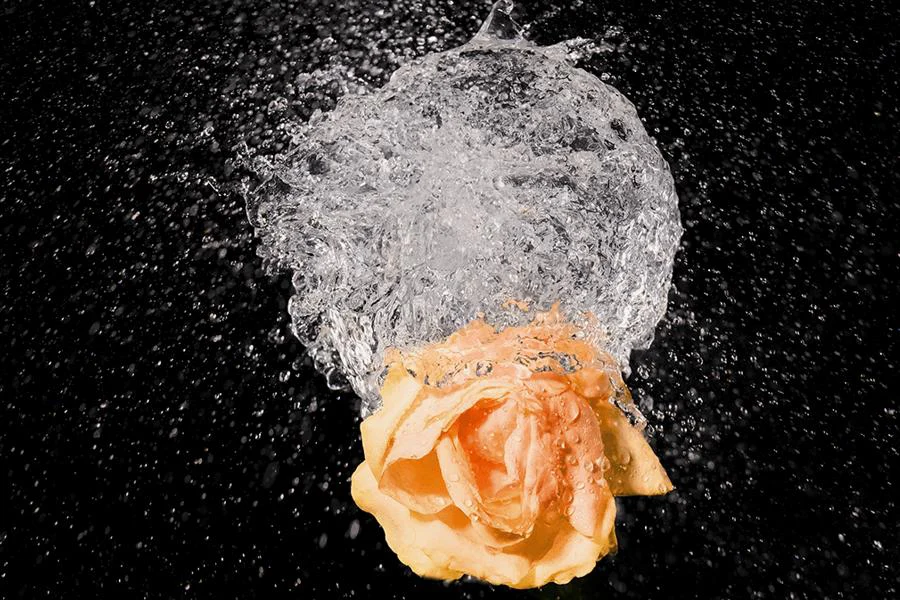 FujiFilm X-H2 + XF 16-80 mm f/4 R OIS WR