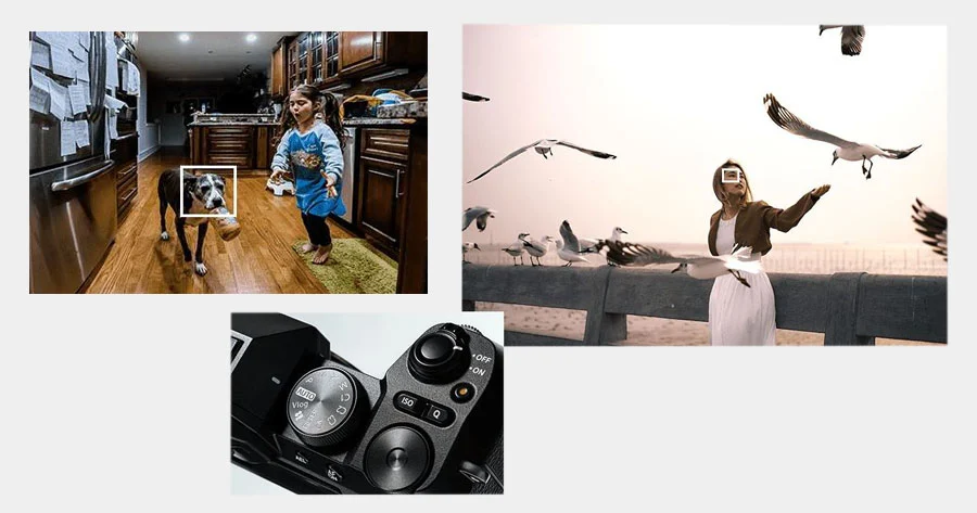 FujiFilm X-S20 + XC 15-45 mm f/3.5-5.6 OIS PZ