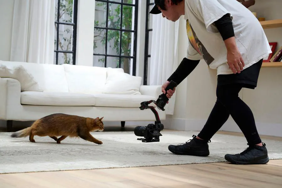 Nikon Nikkor Z 17-28 mm f/2.8