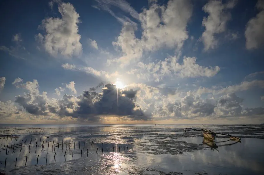 Nikon Nikkor Z 24-200 mm f/4-6.3 VR