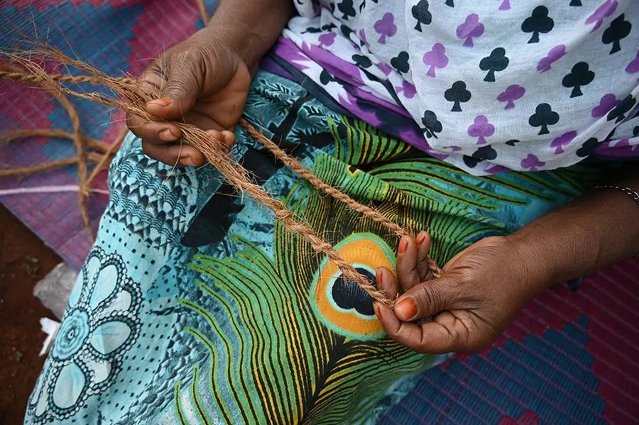 Nikon Nikkor Z 24-200 mm f/4-6.3 VR