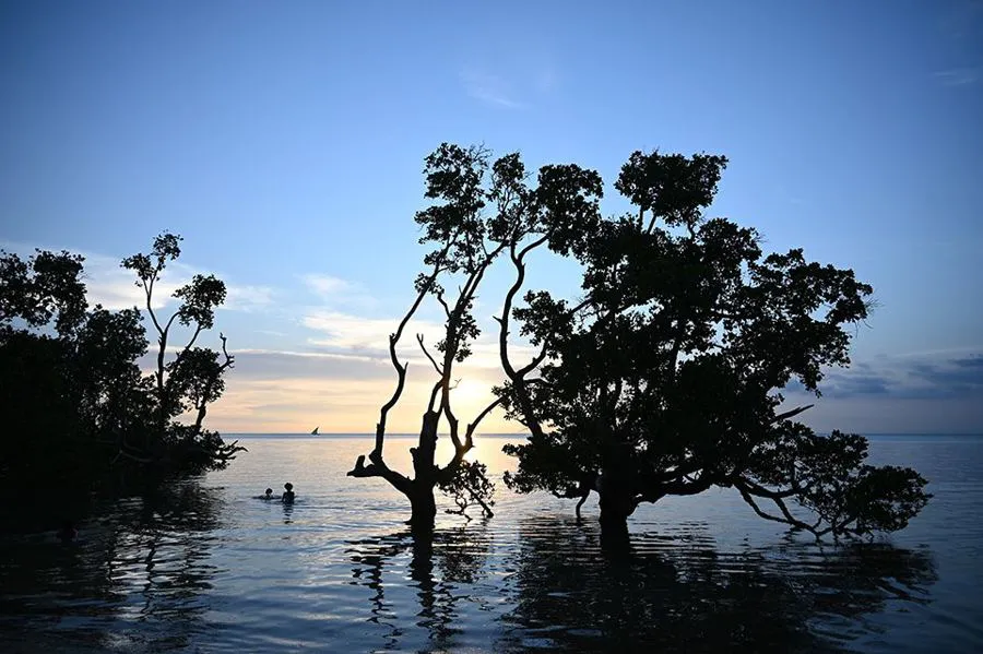 Nikon Nikkor Z 24-200 mm f/4-6.3 VR