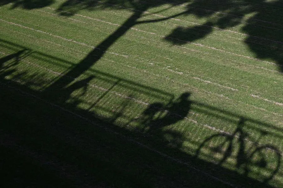 Nikon Nikkor Z 24-50 mm f/4-6.3