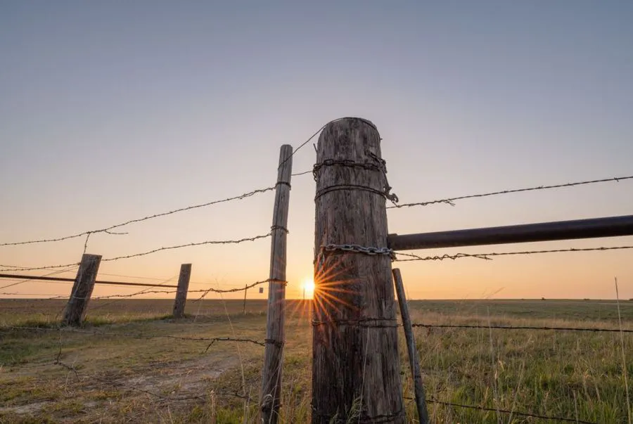 Sigma 14 mm f/1.4 DG DN Art / Sony E