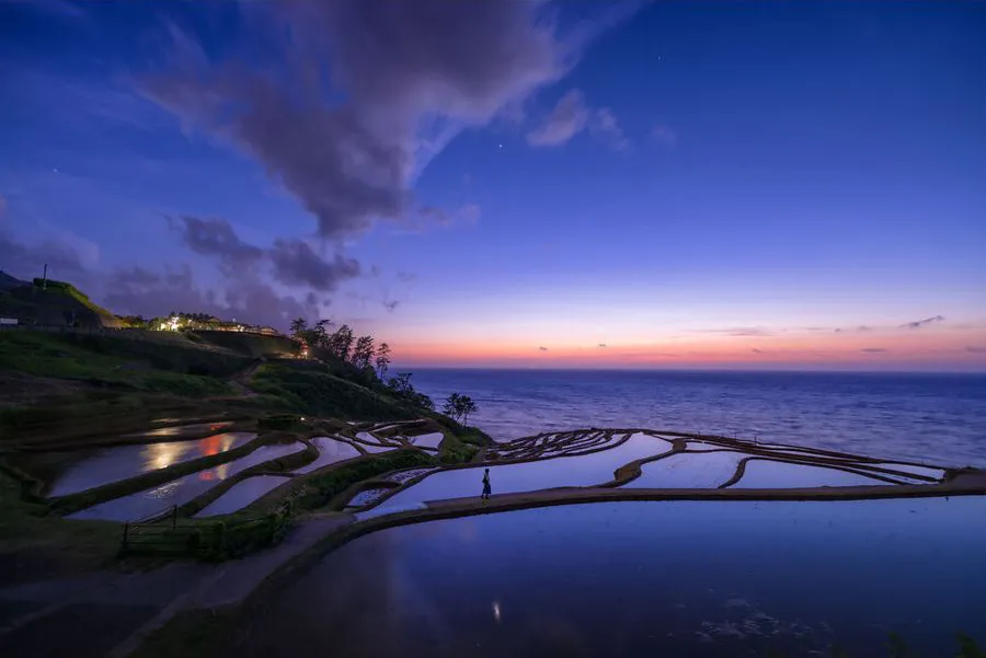 Sigma 14 mm f/1.4 DG DN Art / Sony E