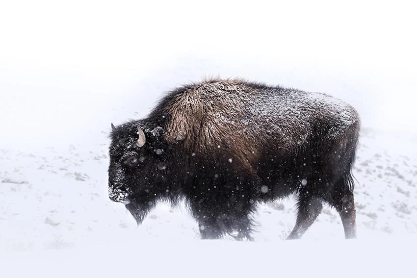 Obiektyw OM SYSTEM M.Zuiko Digital ED 40-150mm f/4 Pro