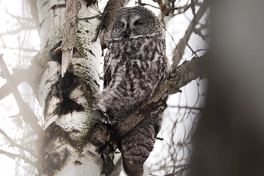 Obiektyw OM SYSTEM M.Zuiko Digital ED 40-150mm f/4 Pro