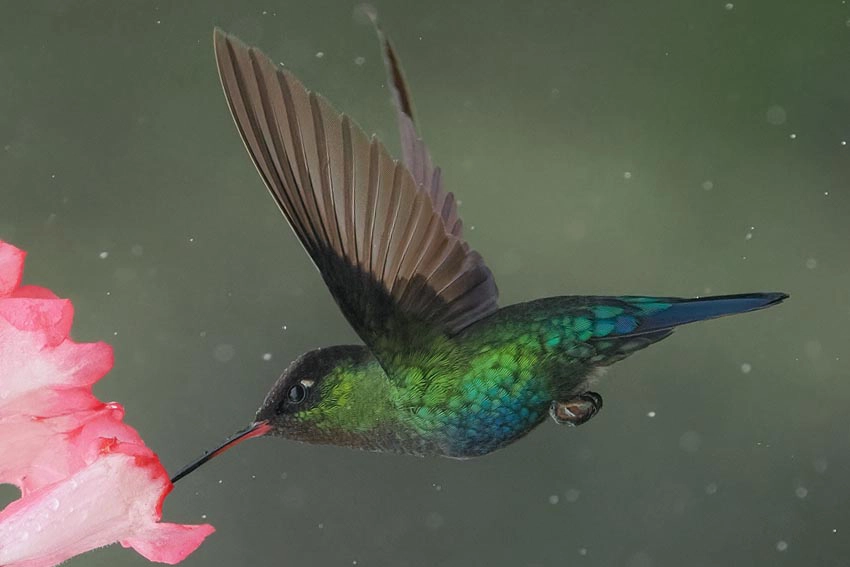 Obiektyw OM SYSTEM M.Zuiko Digital ED 40-150mm f/4 Pro