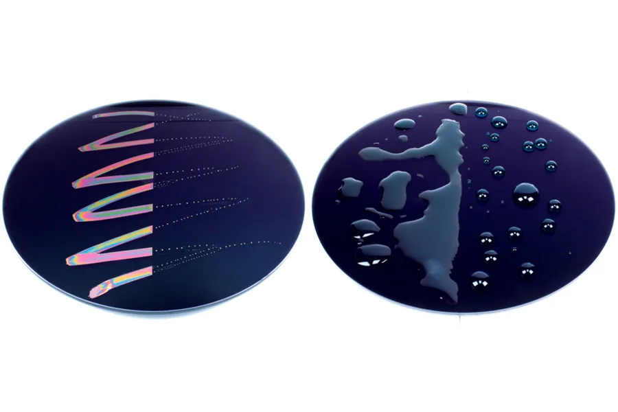 Filtr Marumi FS Plus UV 52 mm