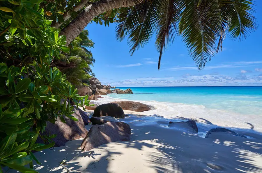 Filtr polaryzacyjny kołowy Marumi Fit+Slim Circular PL 55 mm