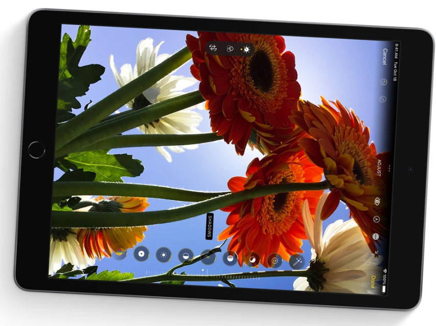 Apple iPad 10,2" 9gen 256 GB Wi-Fi Silver