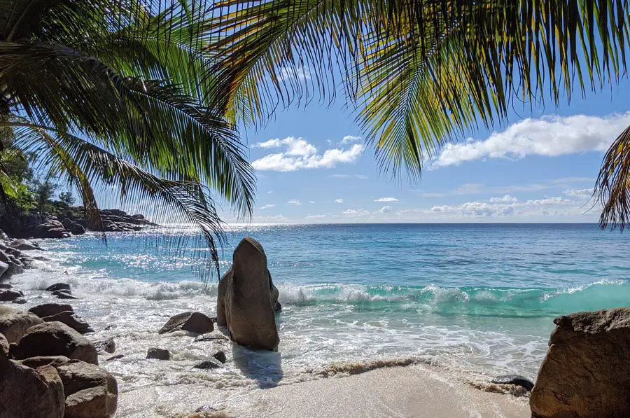 Filtr polaryzacyjny kołowy Marumi DHG Super Circular PL 82 mm