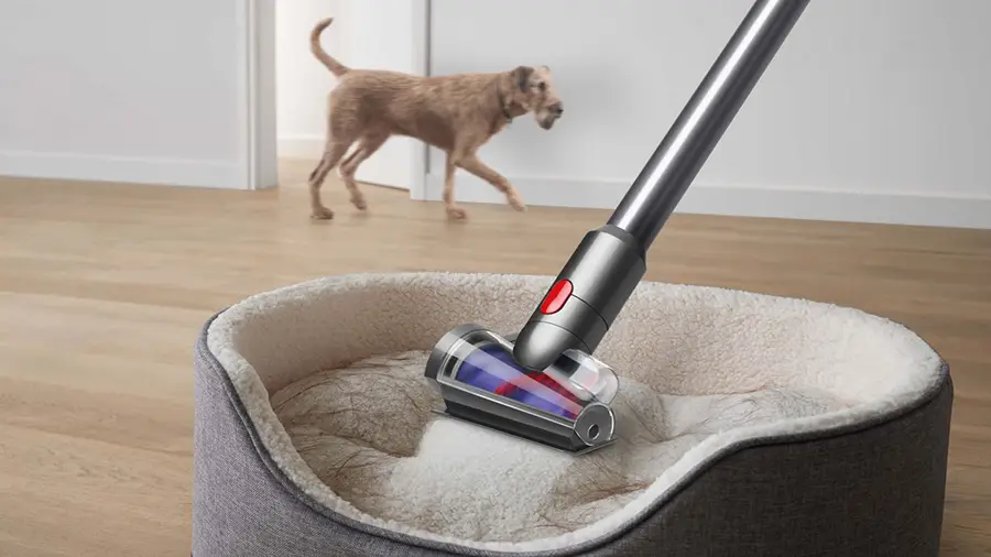 Odkurzacz bezprzewodowy Dyson V8 Absolute