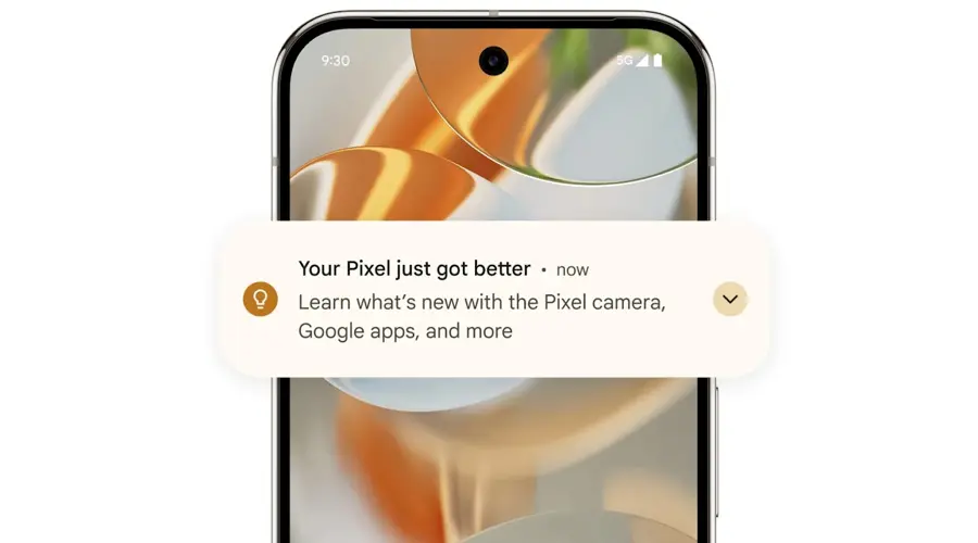 Google Pixel 9 Pro 5G 16/128 GB Różowy kwarc