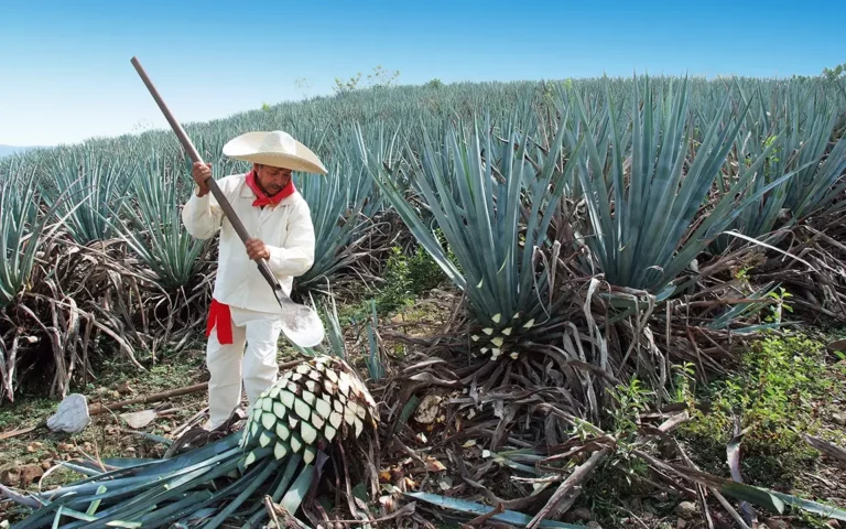 Fotografia podróżnicza